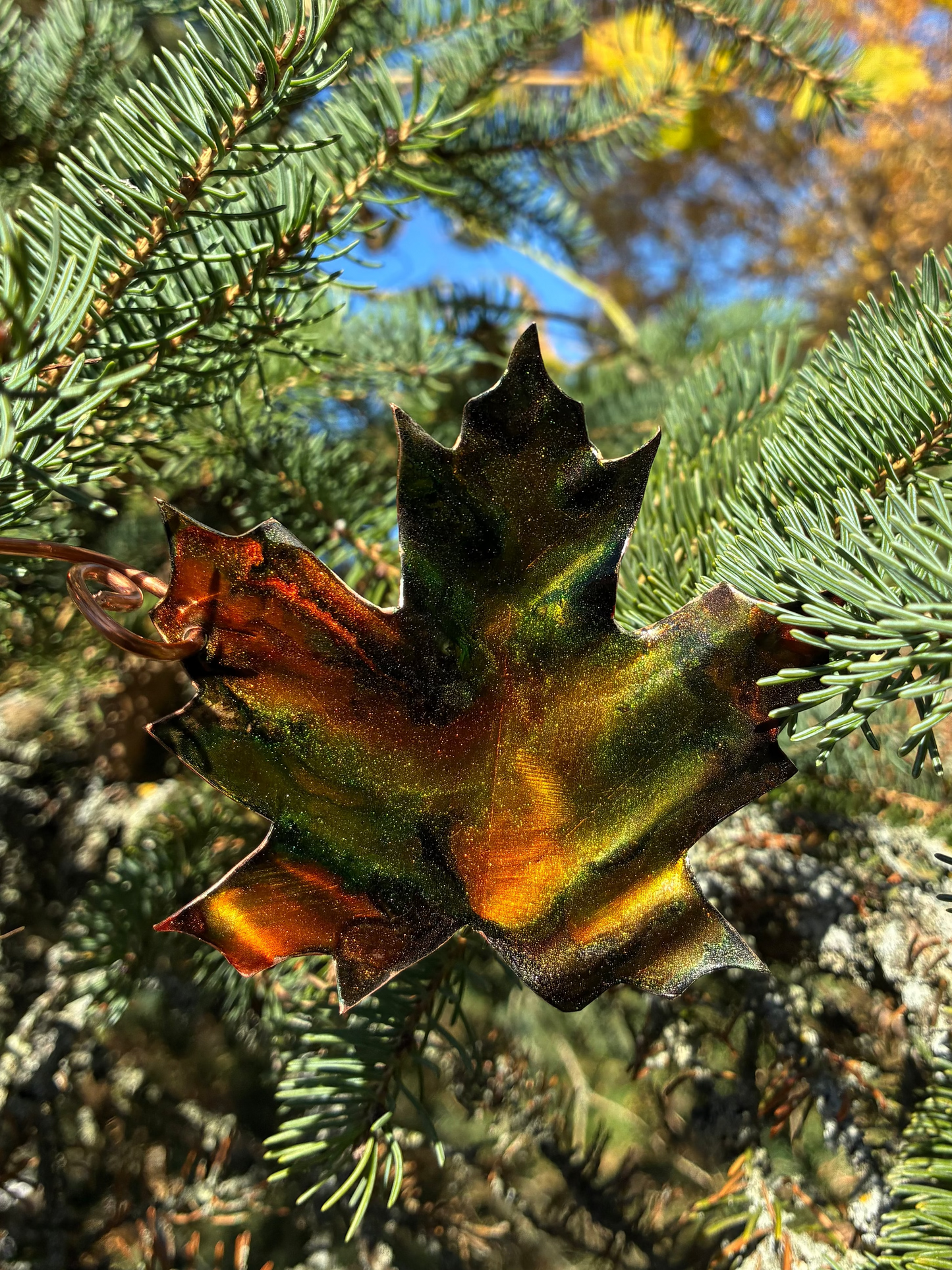 Autumn Blaze Maple Leaf No. 007