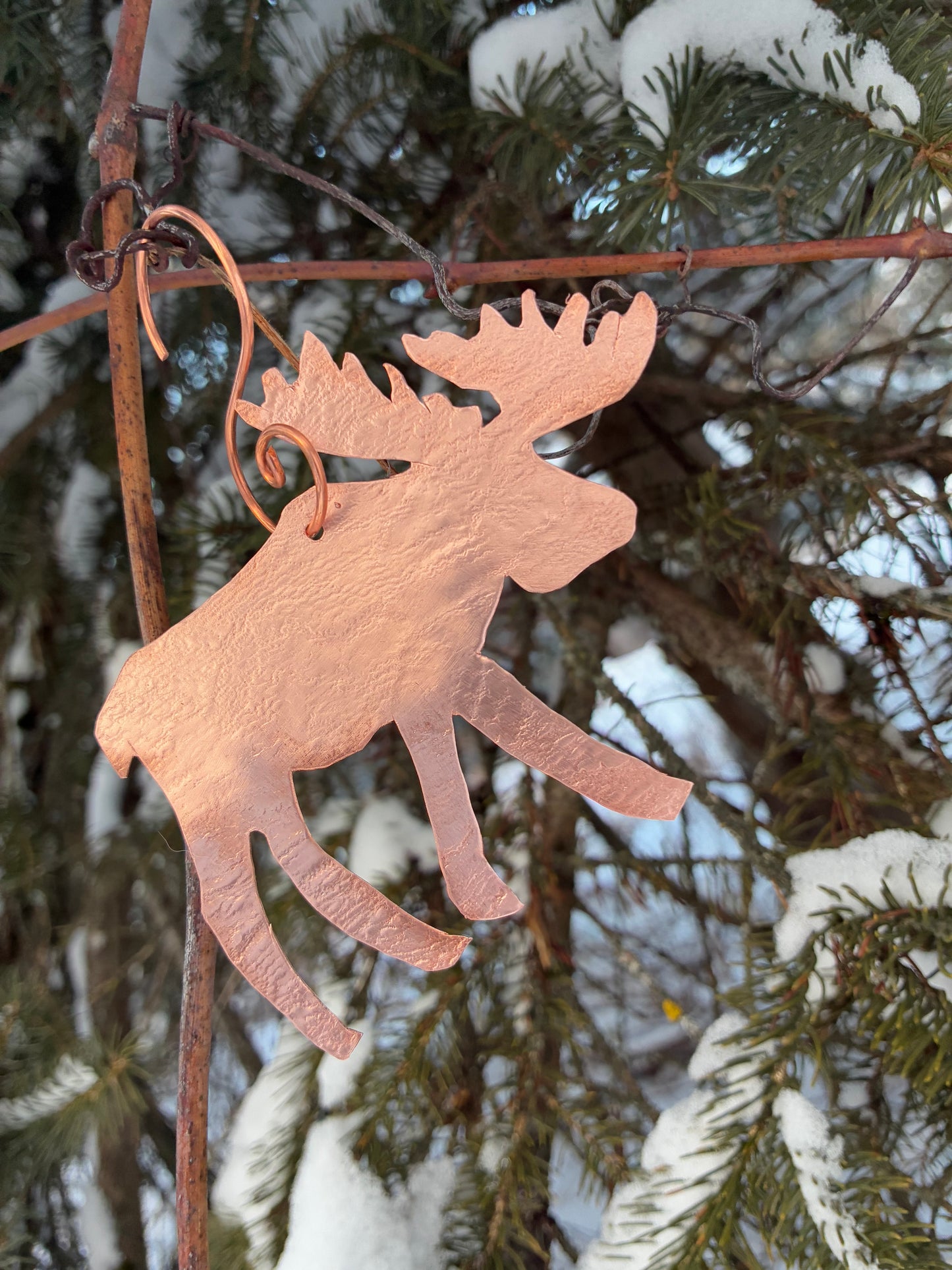 Rustic Ridge Moose
