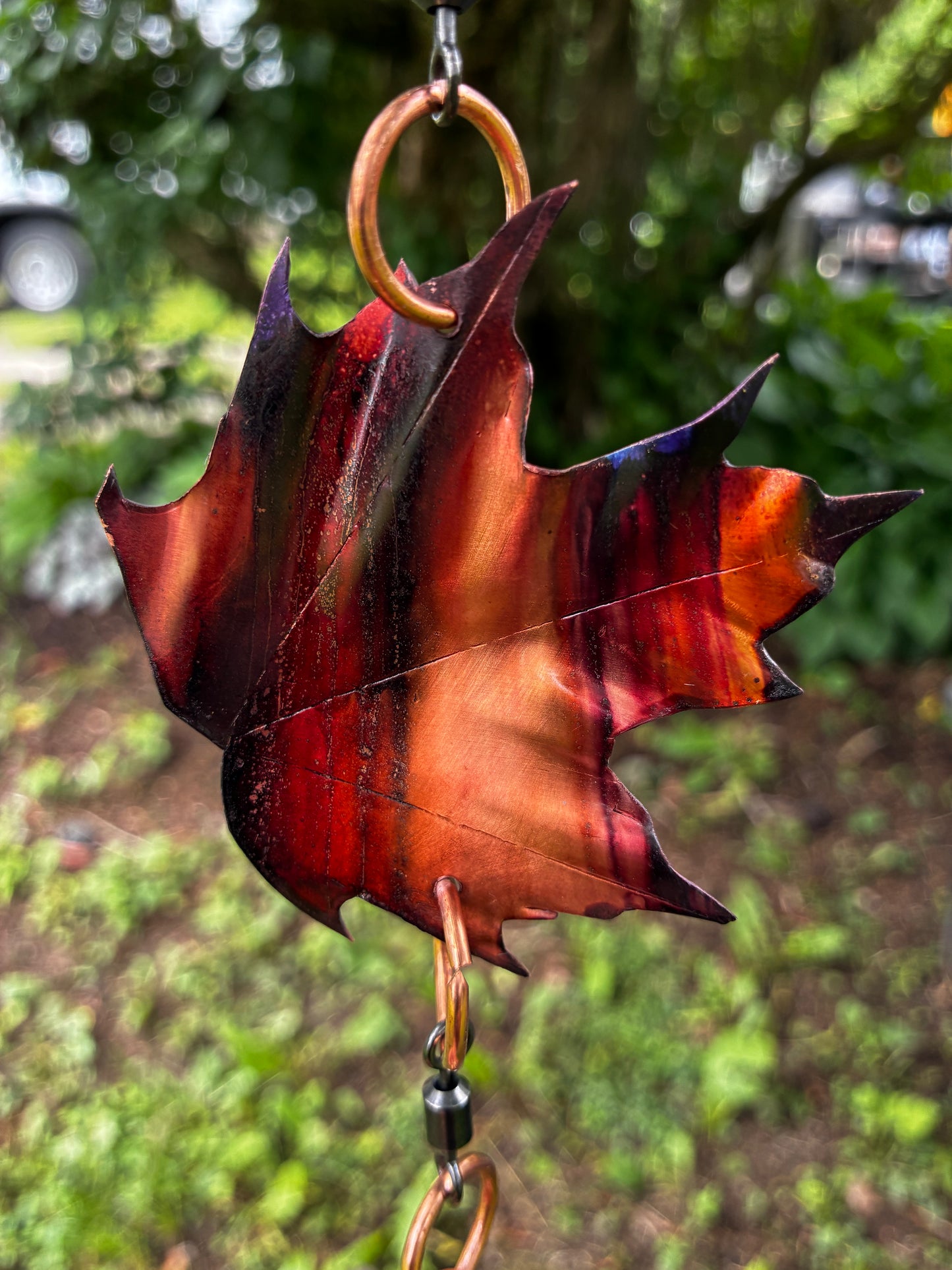 The Vermont Maple Whisperer 619