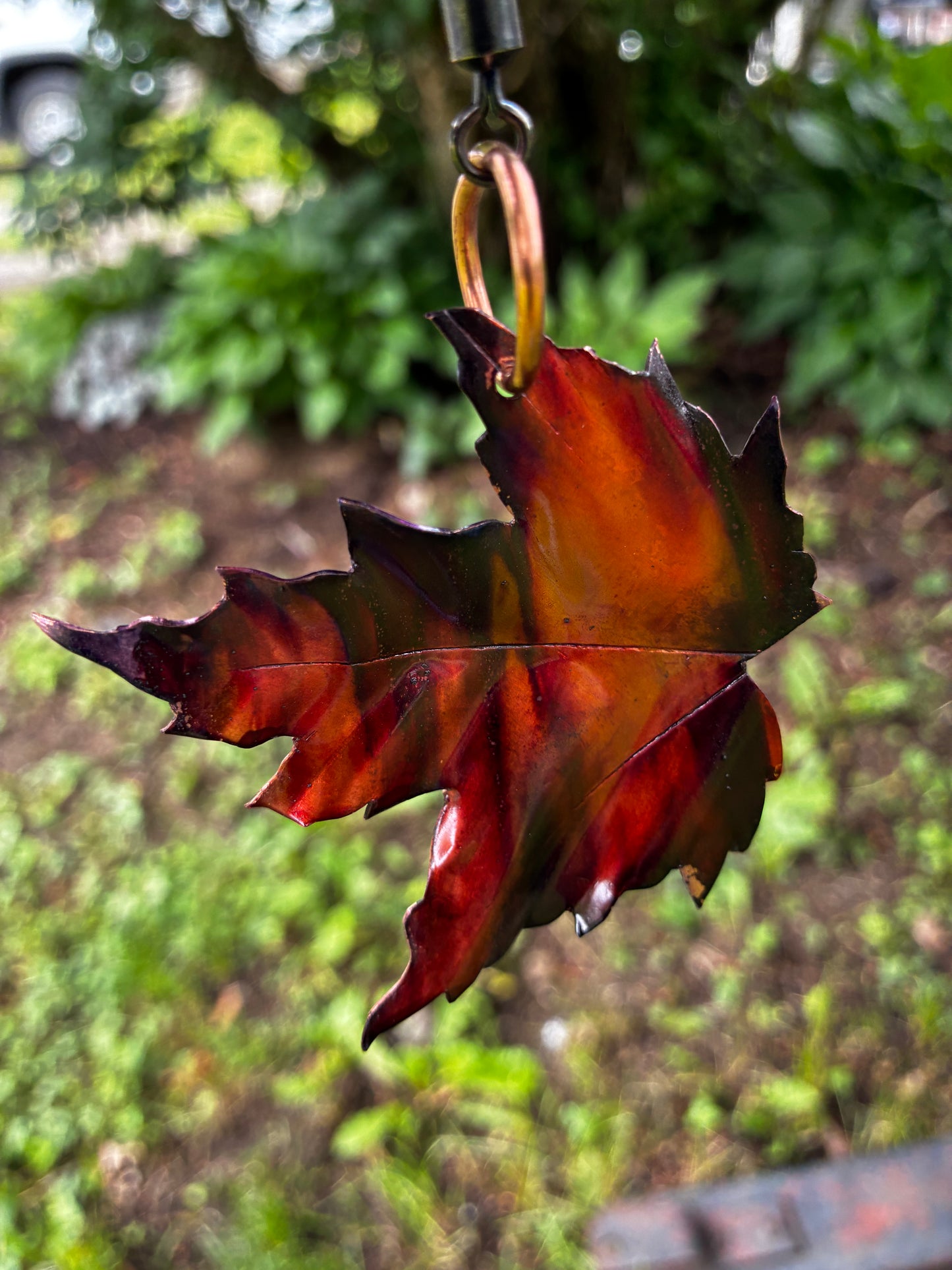 The Vermont Maple Whisperer 619