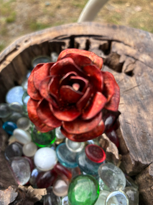 Everlasting Copper Rose small