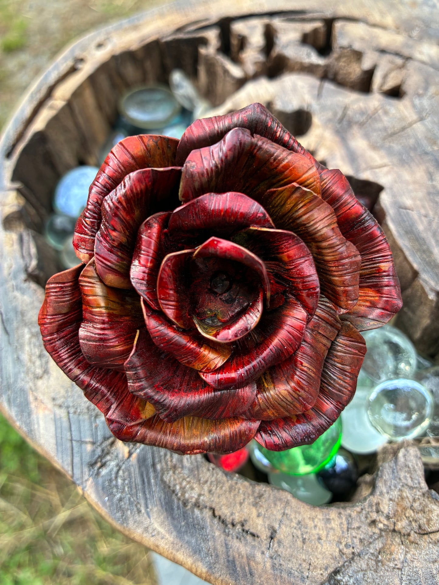 Everlasting Copper Rose large No. 002