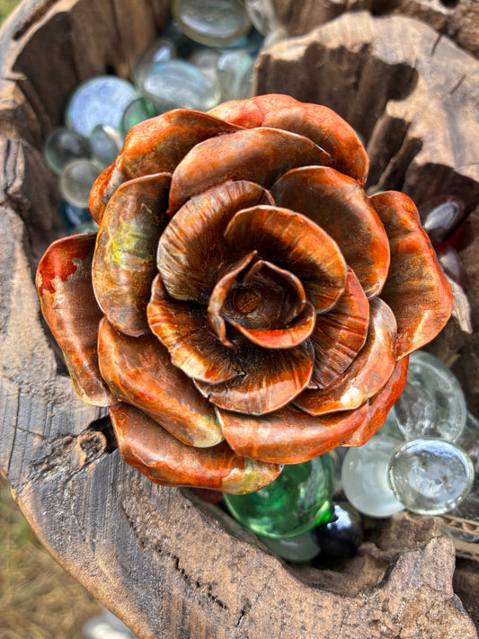 Everlasting Copper Rose large No 001