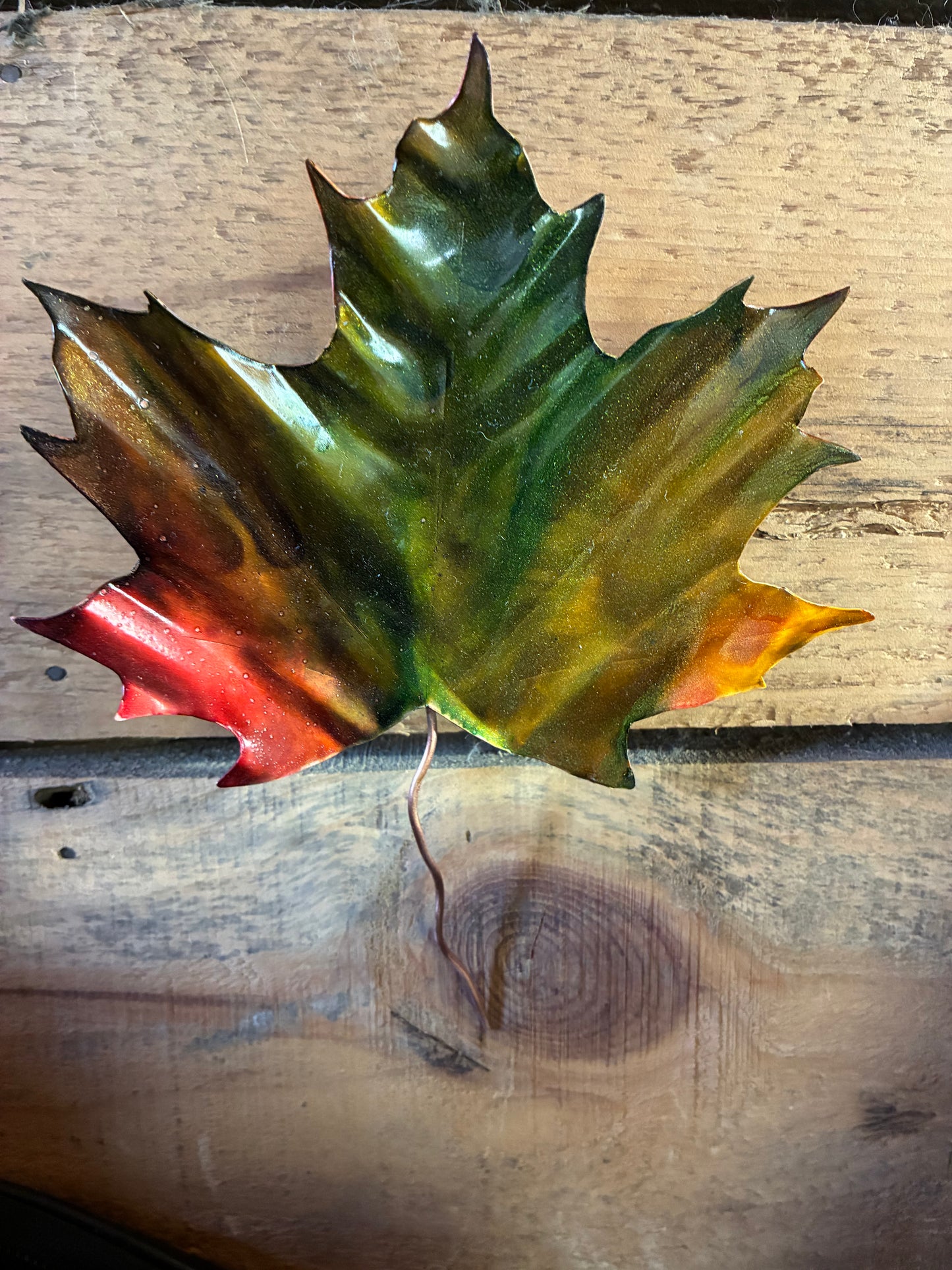 Autumn’s Keepsake No. 002