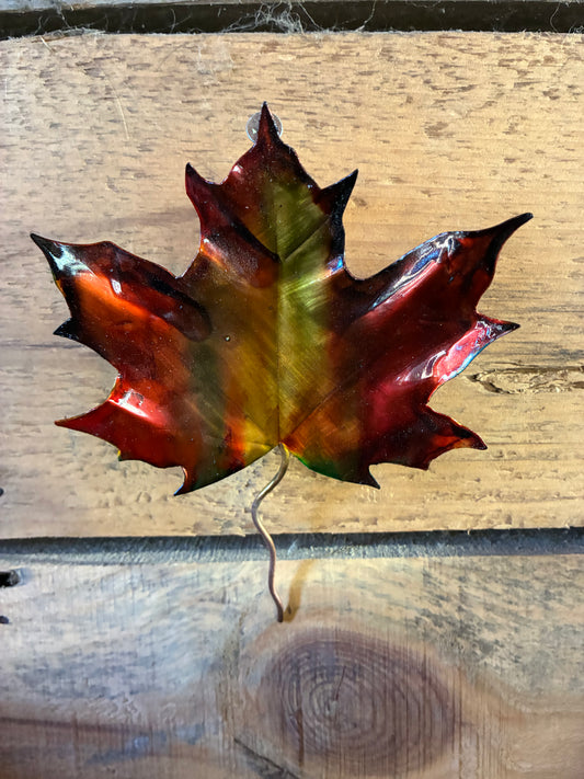 Autumn’s Keepsake No. 001