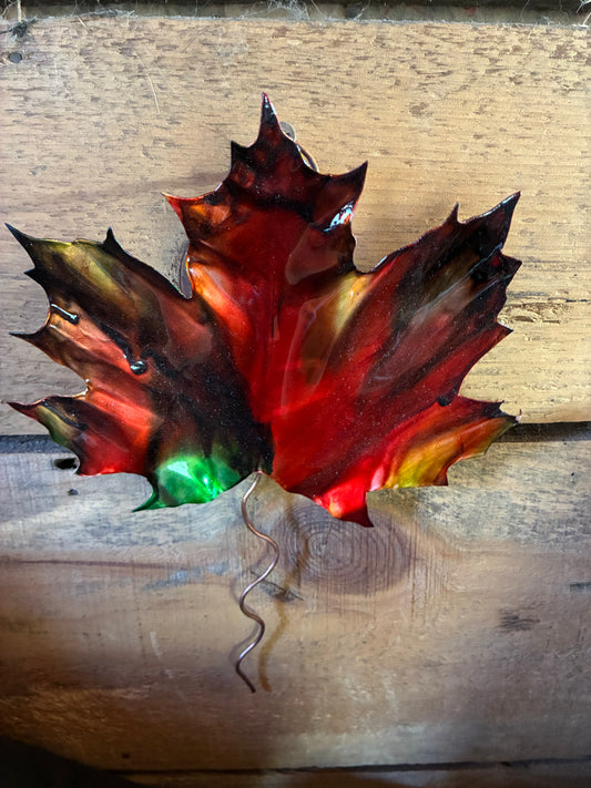 Autumn’s Keepsake No. 003