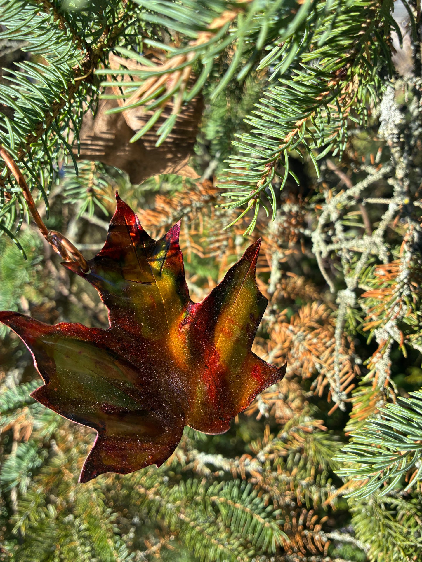 Autumn Blaze Maple Leaf No. 004