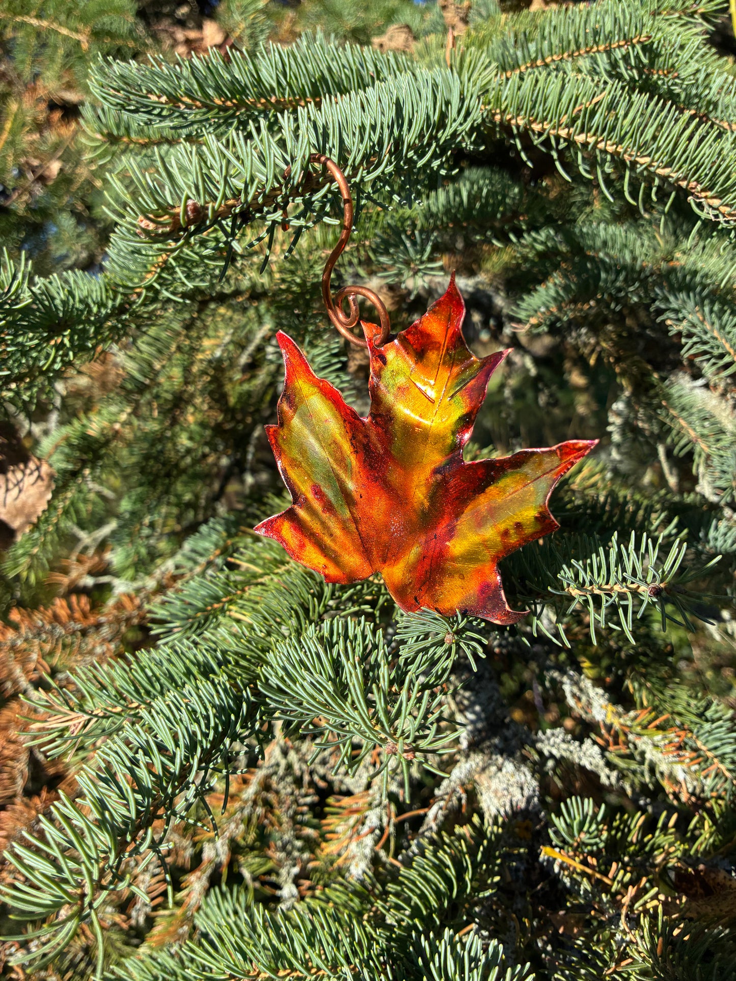 Autumn Blaze Maple Leaf No. 004