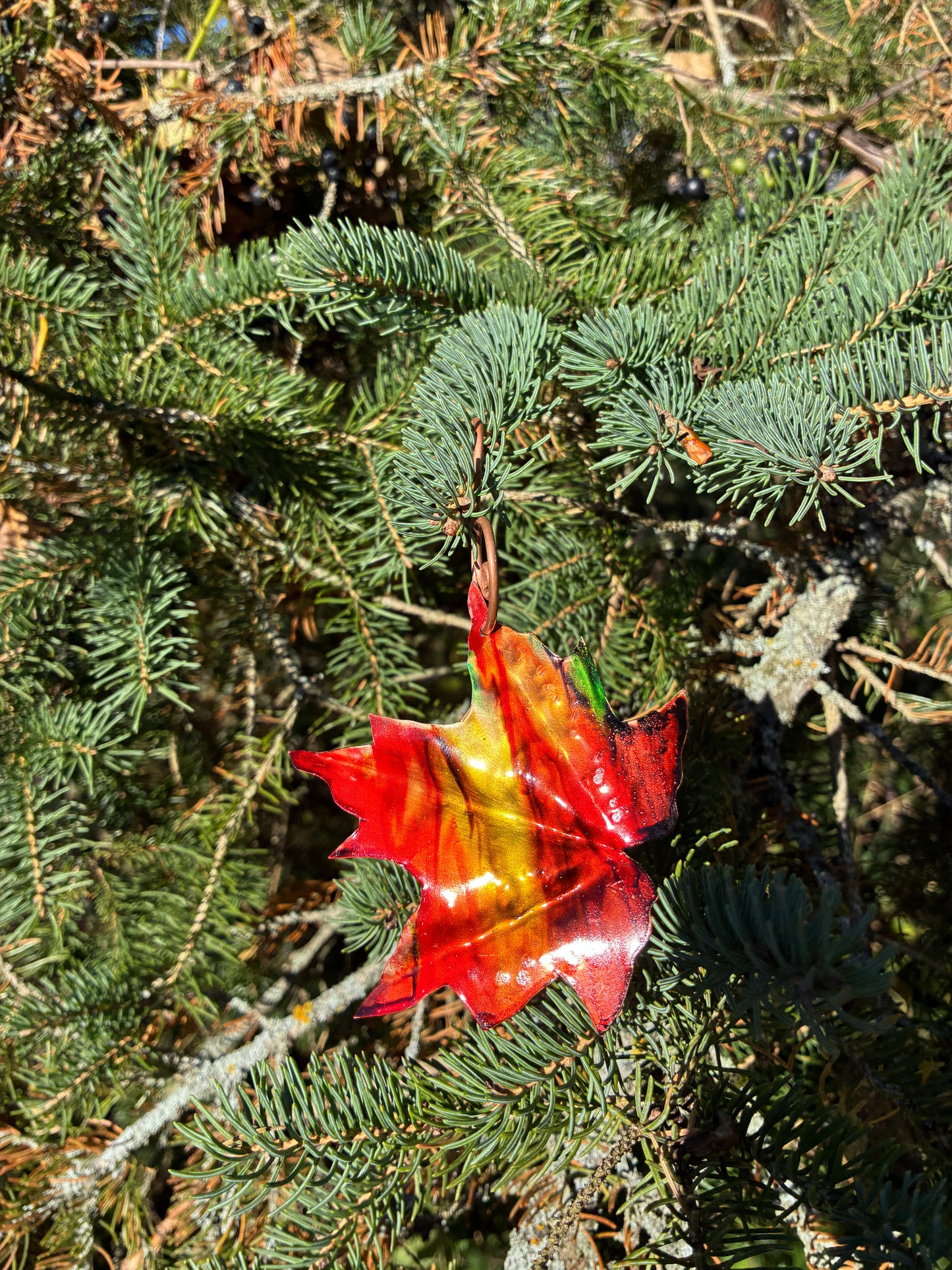 Autumn Blaze Maple Leaf No. 006
