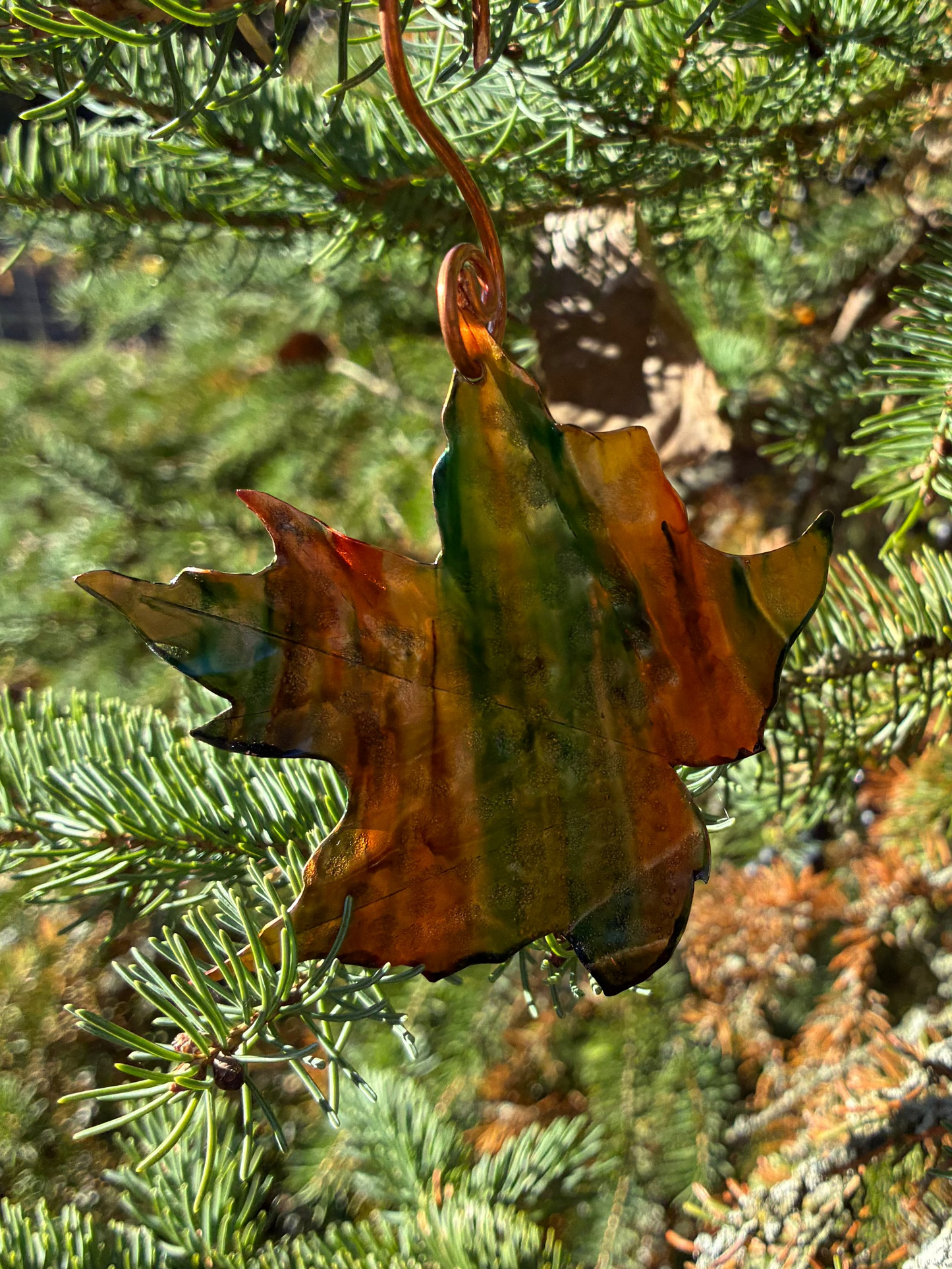 Autumn Blaze Maple Leaf No. 009