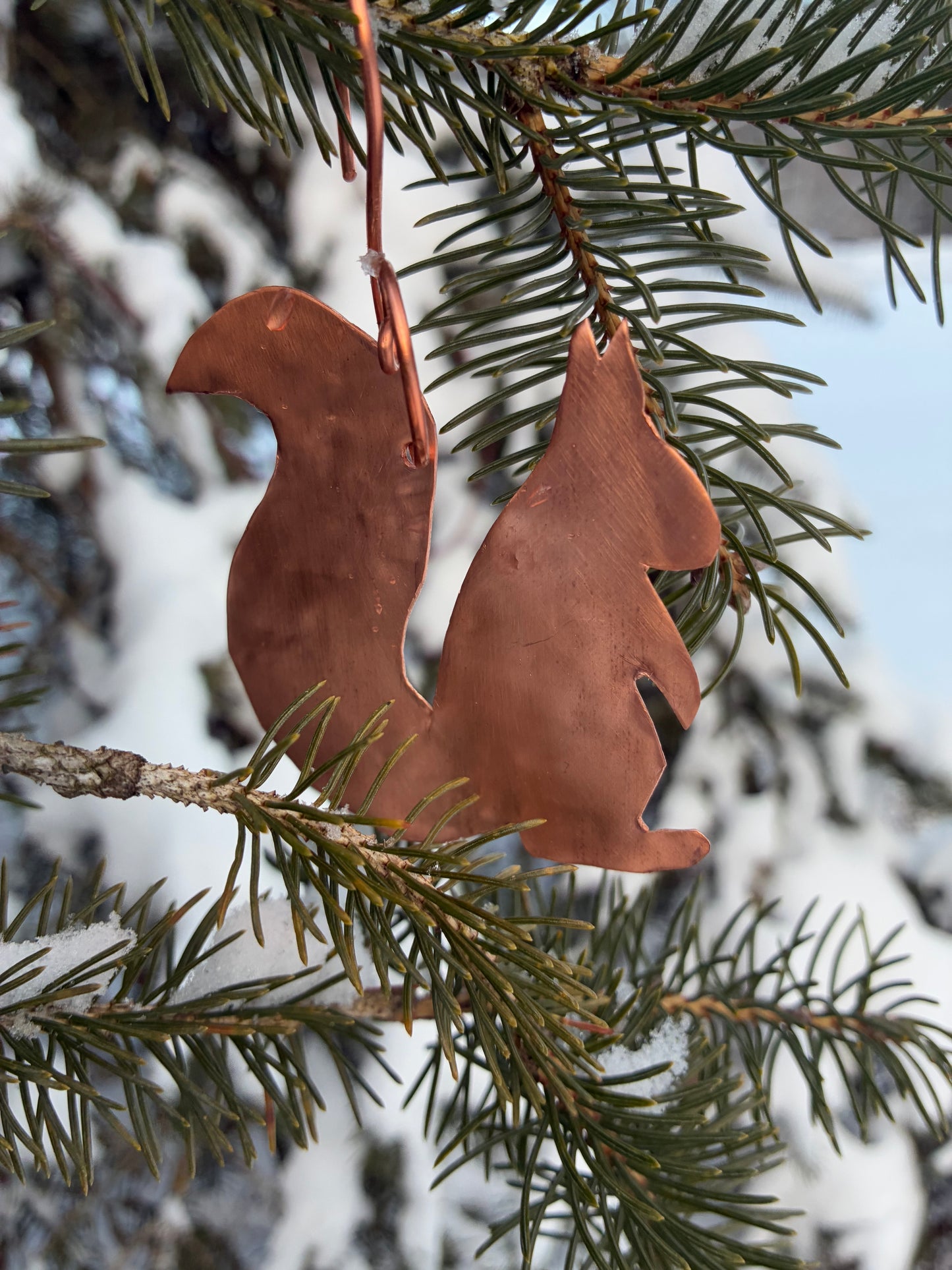 Nutmeg the Squirrel