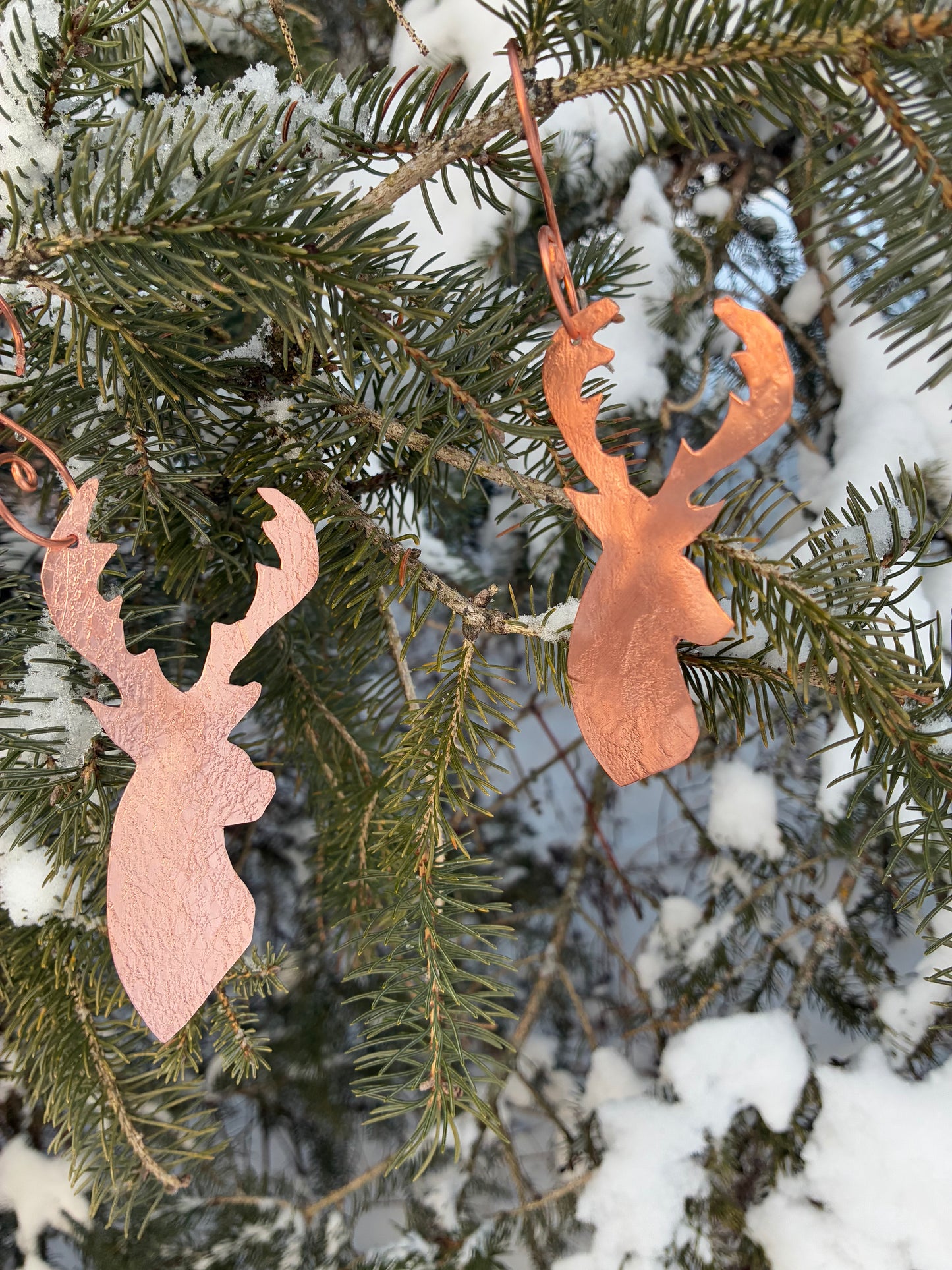 Timber Buck