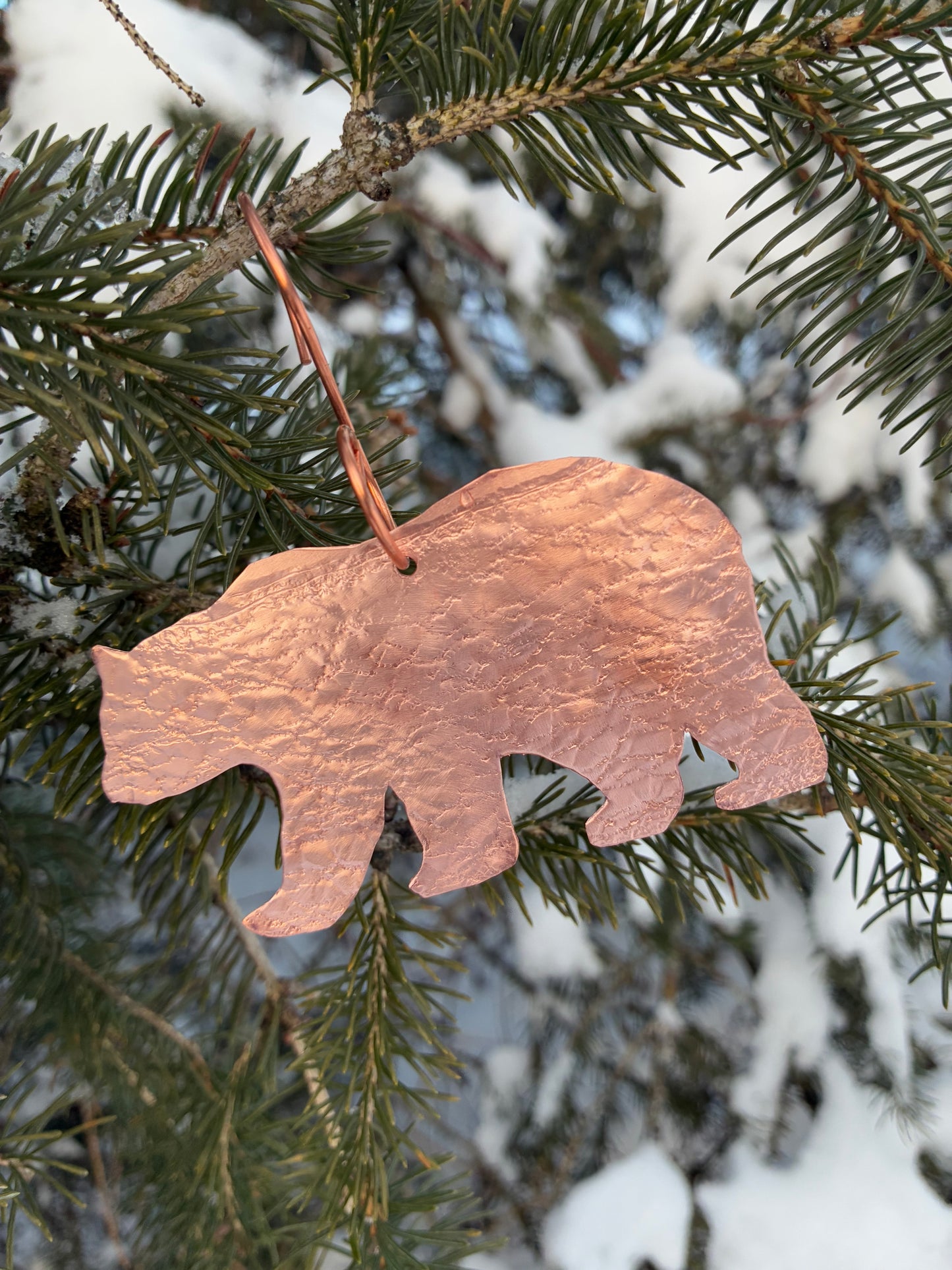 Alder the Bear